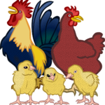 animal-2024095_1280