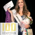 misstesin__09641