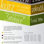tanecni-manz-pokrocili-2020