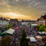 mdz_82004