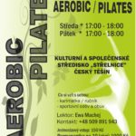 3-aerobic2022