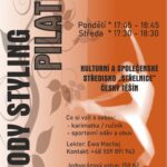 náhledový obrázek ke kurzu body styling pilates