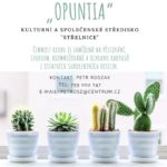 klub-kaktusaru-opuntia