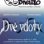dve-vdovy