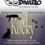náhledový obrázek kočky