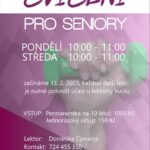náhledový obrázek cvičení pro seniory