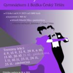 náhledový obrázek k tanečnímu kurzu pro gymázium