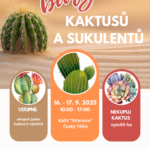 burza-kaktusy-plakat-2
