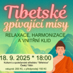 misy-plakat4