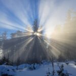 labuda_foto-1